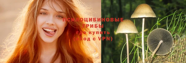 первитин Абинск