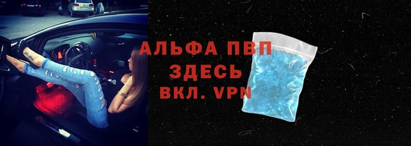 крисы Алексин