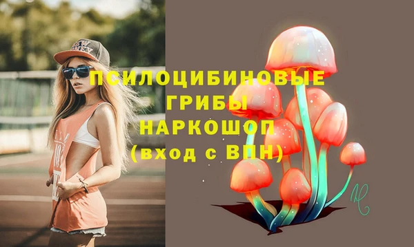 эйфоретик Абаза