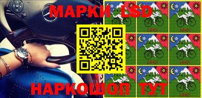 шишки Заволжье