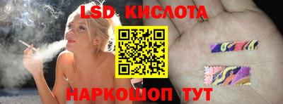 шишки Заволжье