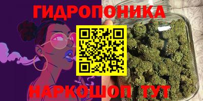 шишки Заволжье