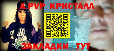 шишки Заволжье