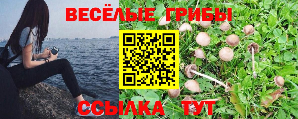 цены наркотик  Вход с VPN  Нальчик  Псилоцибиновые грибы прущие грибы  Псилоцибиновые грибы мухоморы 